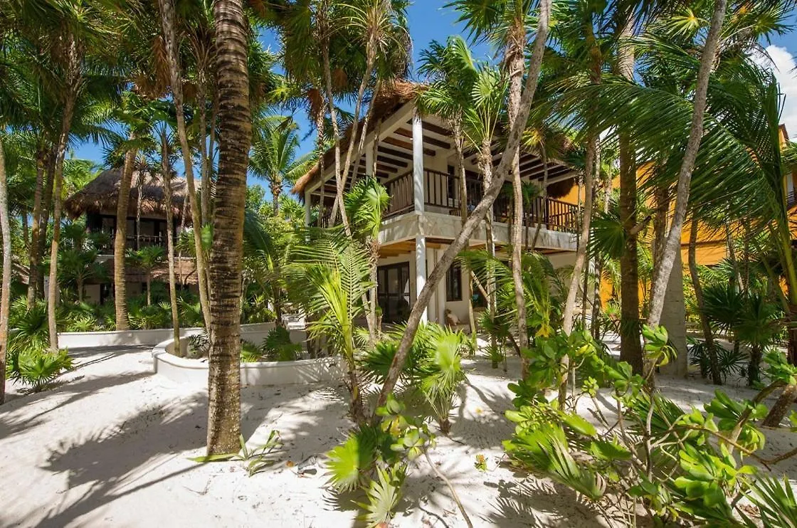 Villa Private Bungalow In Soliman Bay, Tulum Mexico